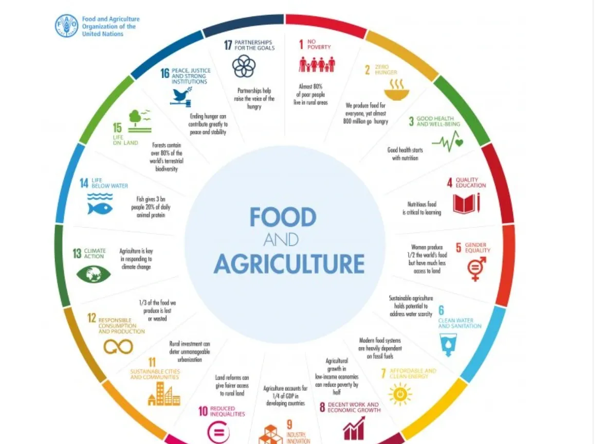 india premier ias institute